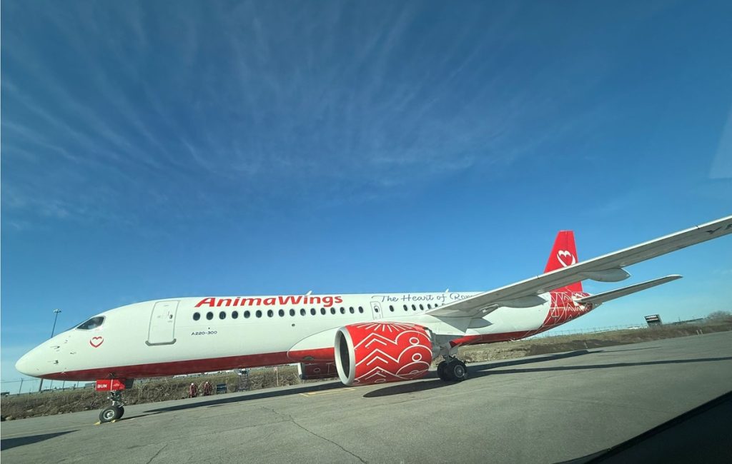 AnimaWings anunță noi rute din Timișoara