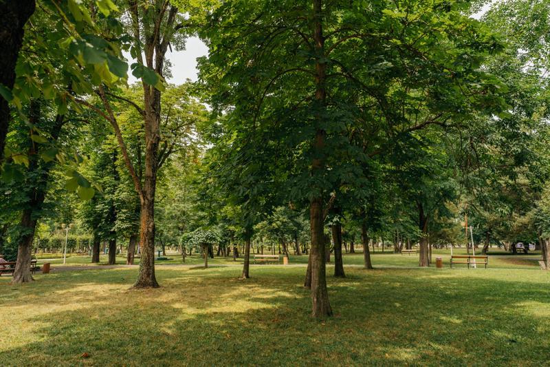 Primăria Timișoara reamenajează trei parcuri. Vor avea iazuri artificiale și zone moderne de recreere